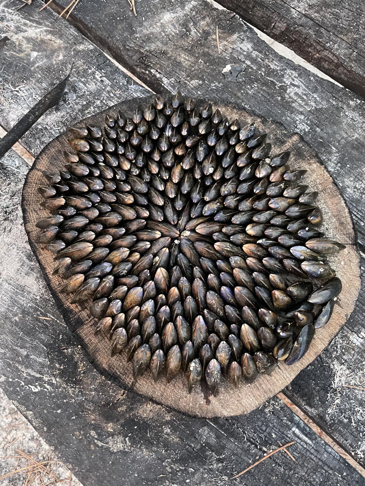 Eglade de moules - Culinaire - La Maison d'Yvonne