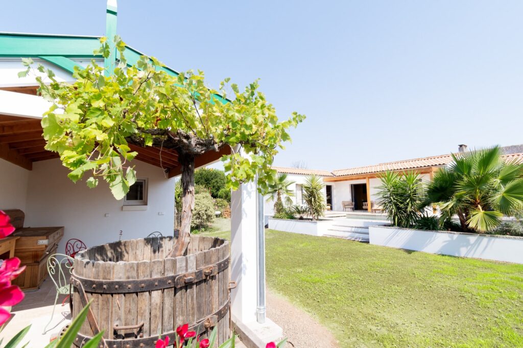 Jardin Jour - La Maison d'Yvonne - Oléron - Maison d'hôtes